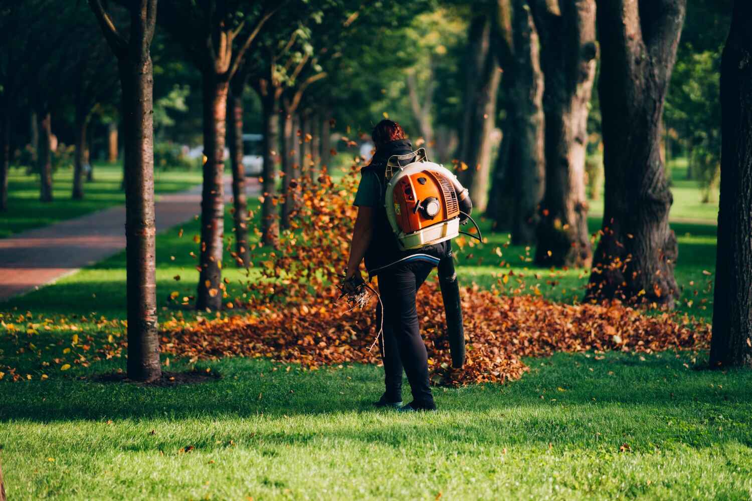 Best Stump Grinding Near Me  in USA